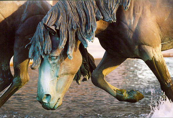 Mustang